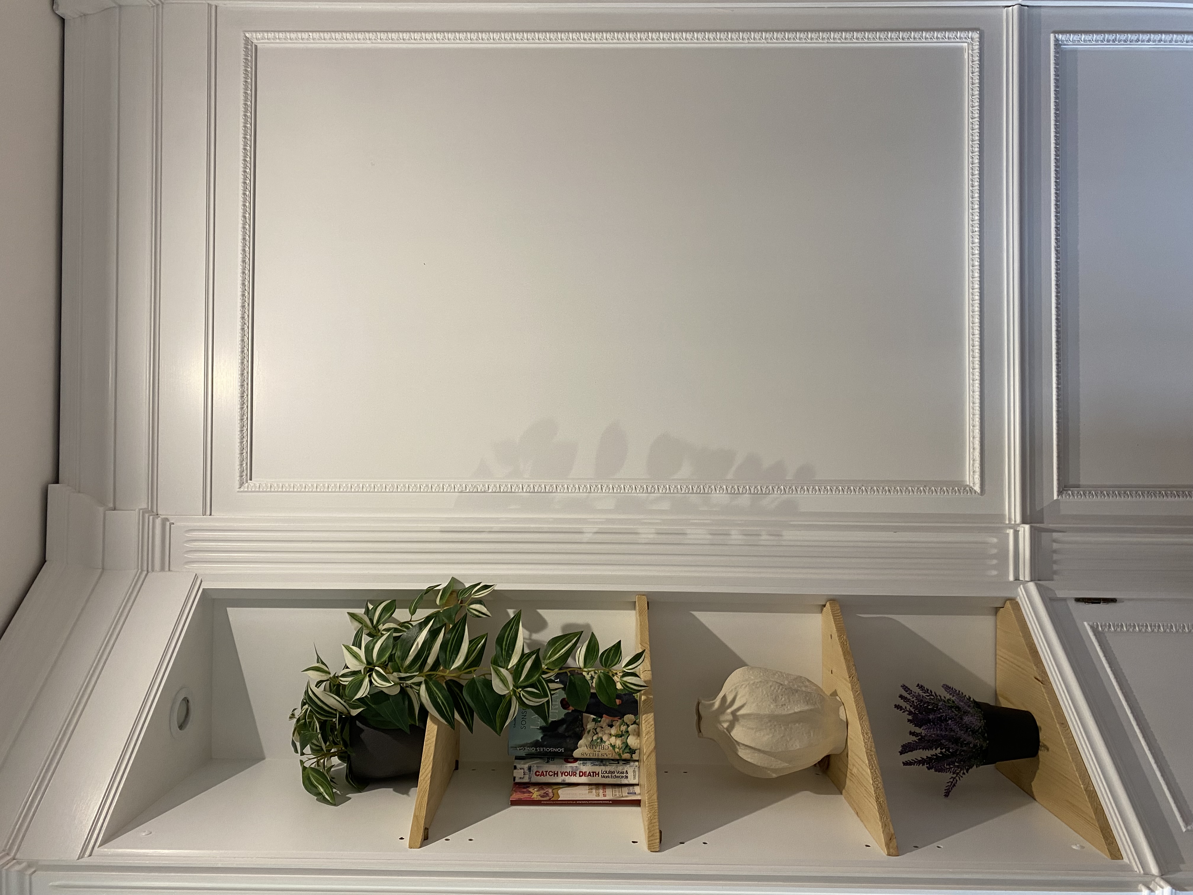 Estantería minimalista con plantas y libros